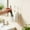 Clear, variant on Wall Mounted Toothbrush and Toothpaste Holder for Bathroom Storage with No Drill Adhesive Design for Space Saving Organization Transparent
