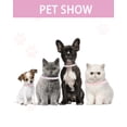 thumbnail image 3 of Breakaway Cat Collars with Bell,Adjustable Safe Kitten Collar,Cat Collars for Girl Cats with Rhinestone Soft Velvet, 3 of 7