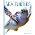 thumbnail image 1 of Pre-Owned Sea Turtles (Paperback) 1682770680 9781682770689, 1 of 1