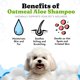 thumbnail image 2 of Champú para perros Vital Pet Life con avena y aloe 473 ml, 2 of 9