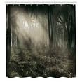 thumbnail image 3 of Ambesonne Brown Shower Curtain, Nostalgic Dark Forest, 69"Wx84"L, Brown, 3 of 5