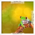 thumbnail image 3 of Red Eyed Tree Frog From Costa Rica Rain Forest, Animals Scenic Framed Art Print Wall Art by kikkerdirk Sold by Art.Com, 3 of 3