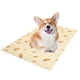 thumbnail image 5 of Almohadilla de enfriamiento para mascotas fibra de enfriamiento de alta tecnología y tela de malla transpirable constituyen gel de hielo Pet Ped Cómoda almohadilla de ANGGREK Otros, 5 of 8