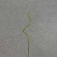 thumbnail image 1 of 1 Pc, 31 Inch Curly Willow Twig Spray w/3 Branches For Floral Arrangement & Home Decor - Green, 1 of 5