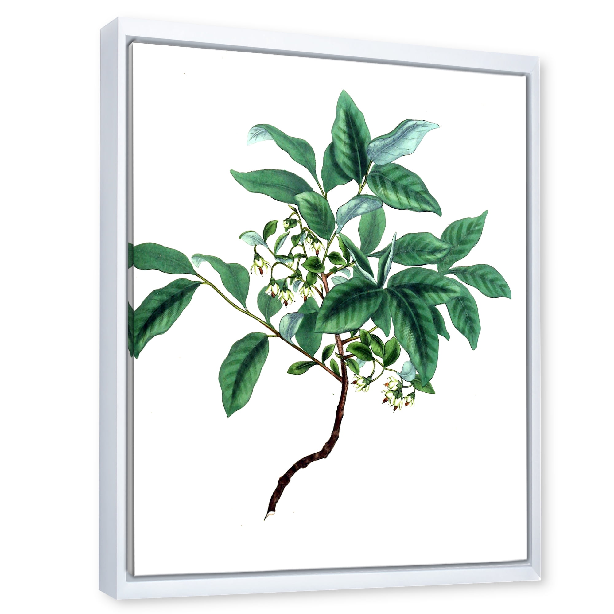 Designart 'Ancient Green Leaves Plants IV' Traditional Framed Canvas Wall Art Print
