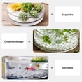 thumbnail image 3 of Miangastore Terrarium en Verre Transparent Jardinière Hydroponique Décorative Vase en Verre Rond Aquarium, 3 of 8