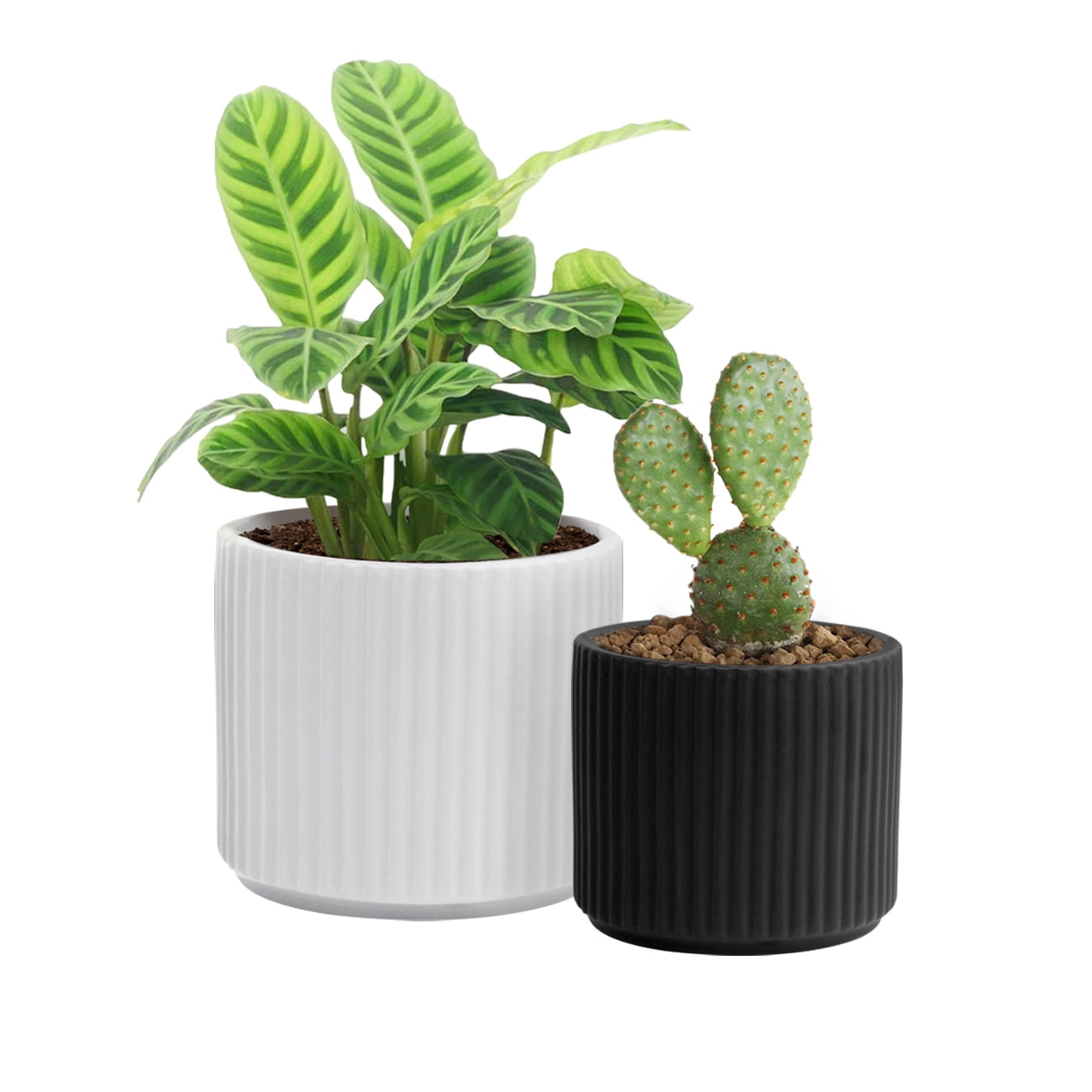 Scandi Boho Cement Black & White Indoor Flower Plant Pot Planter 