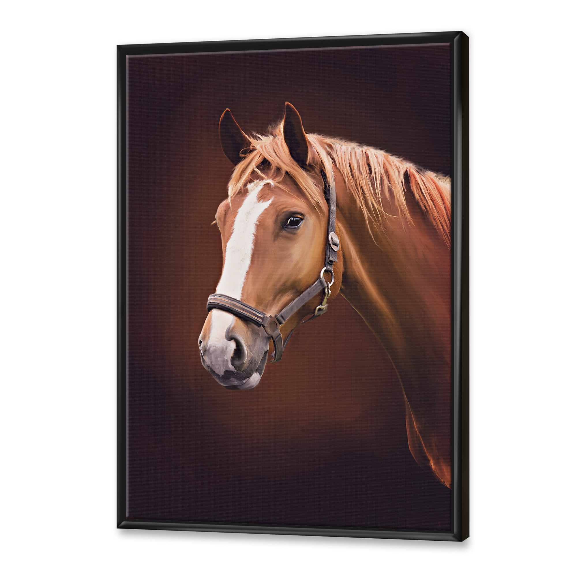 Designart 'Close Up Portrait Of Brown Horse With White Nose II' Farmhouse Framed Canvas Wall Art Print