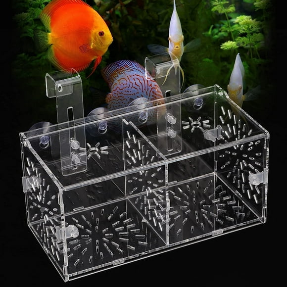 Boîte d'Isolation pour Poissons, Boîte d'Isolation Transparente en Acrylique pour Aquarium, Incubateur de Couveuse pour Aquarium (20CM*10CM*10CM)