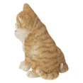 thumbnail image 3 of KITTENS HUGGING - ORANGE, 3 of 4