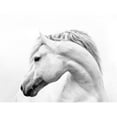 thumbnail image 3 of Carter, Samantha 24x19 Black Modern Framed Museum Art Print Titled - Head Turner, 3 of 5
