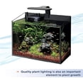 thumbnail image 6 of Aqueon Aquarium Plant Food Provides Macro and Micro Nutrients [Aquarium Plant Food and Fertilizer, Aquarium Supplies] 104.4 oz (12 x 8.7 oz), 6 of 6