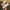 Beige, variant on Quaouag Women’s Round Toe Flats Shoes Ballet Flats Dressy Comfortable Flats for Women
