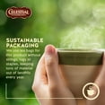 thumbnail image 2 of Celestial Seasonings Wild Berry Zinger, Herbal Tea, 2 of 6