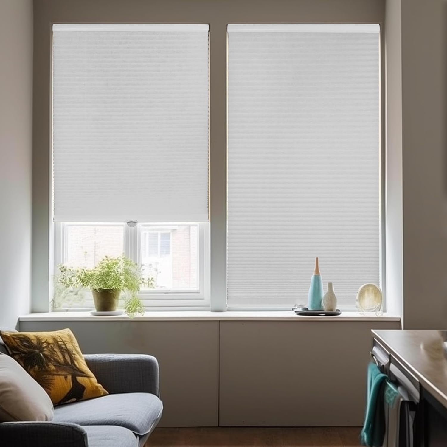 Chicology Salt Cordless Light Filtering Cellular Shades 65.75 in. W x 48 in. L