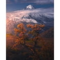 thumbnail image 3 of Behzad, Majid 20x24 Black Modern Framed Museum Art Print Titled - Autumnal Theme In Alborz Mountains, 3 of 5