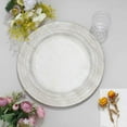 thumbnail image 5 of 13" Charger Plates - Set of 24 - White with Lace Embossed Rim Plastic Chargers, Rustic Modern Disposable Round Acrylic Serving Trays For Dinner Wedding Party Events, 5 of 17