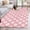 Pink, variant on White Yellow Daisy Bathroom Rug Washable 2x3 Entryway Rug Non Slip Spring Summer Floral Botanical Front Door Mat Low Pile Indoor Doormat Throw Floor Carpet for Kitchen Bedroom Entrance