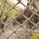 thumbnail image 5 of Billuyoard Red de protección de cáñamo multifuncional, solución de seguridad fácil y duradera, red de protección de jardín fácil Jardín y Patio, 5 of 6