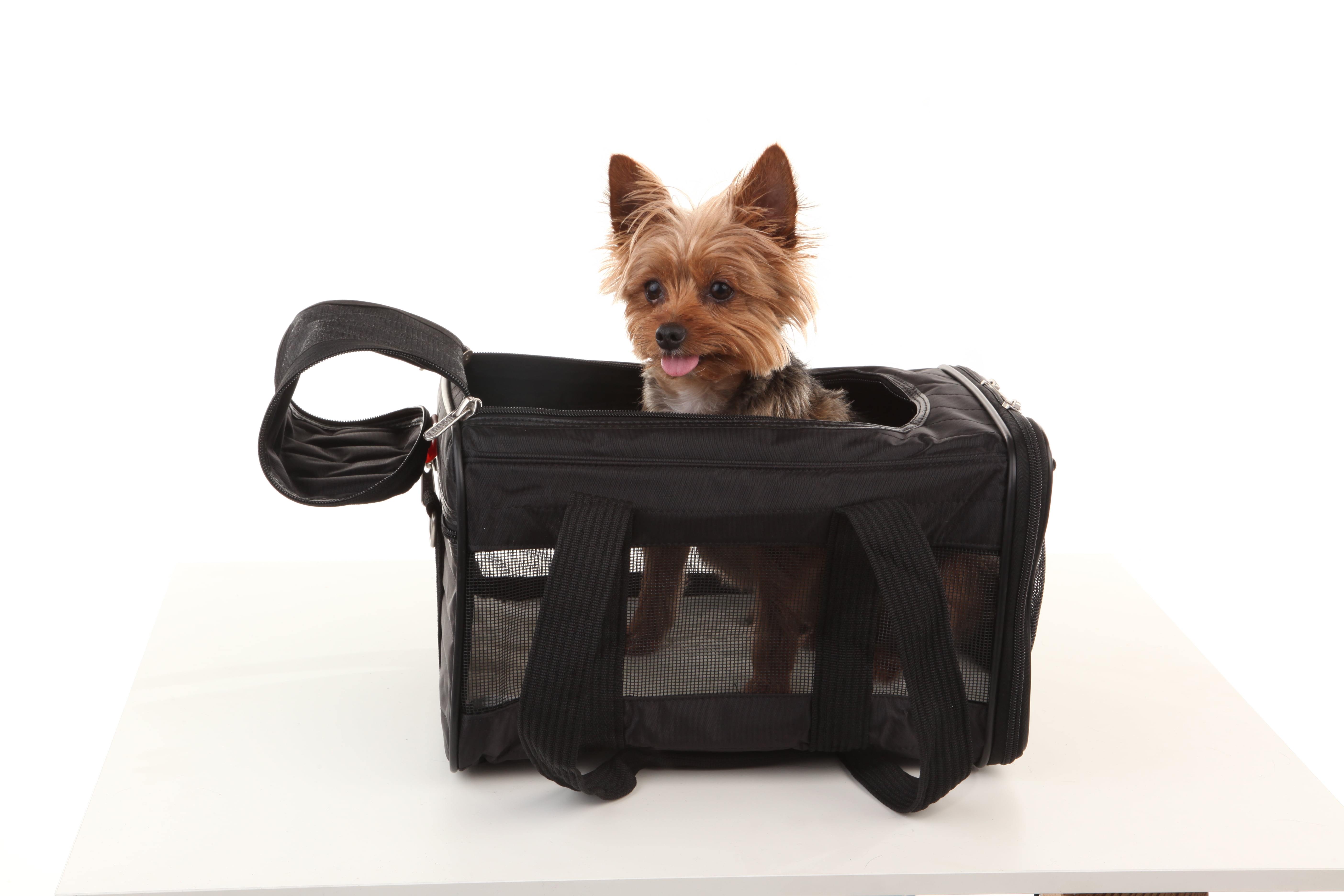 pet carrier