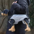 thumbnail image 2 of Adjustable Dog Lifting Harness Portable Dog Carrying Aid for Small Ideal for Assisting Dogs and Cats on Stairs Full Body Support and Recovery Sling, 2 of 4