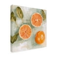 thumbnail image 2 of Emma Scarvey 'Fresh Citrus II' Canvas Art, 2 of 3