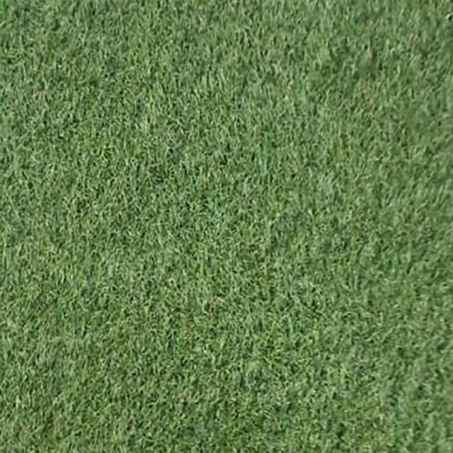 pasto tucson 1 x 1.83 m