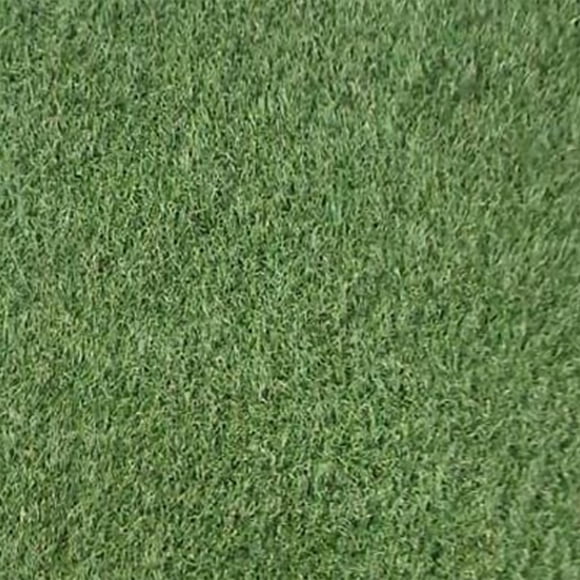 pasto tucson 1 x 1.83 m
