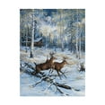 thumbnail image 1 of Trademark Fine Art 'A Pair' Canvas Art by Jeff Tift, 1 of 1