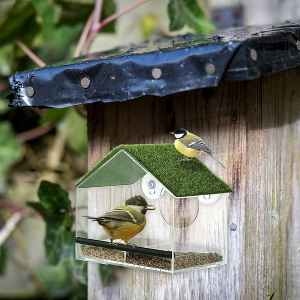 Fenêtre Transparente avec Mangeoire à Oiseaux Table de Graines