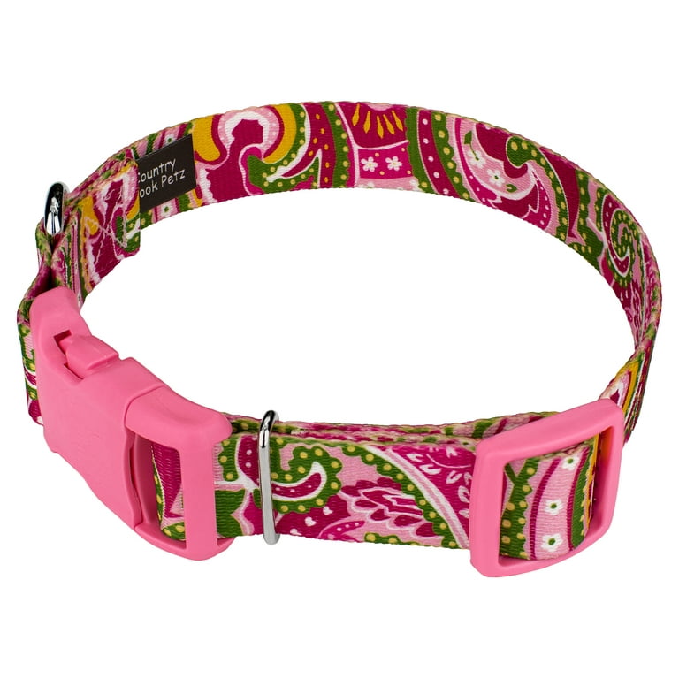 Pink paisley dog collar sales