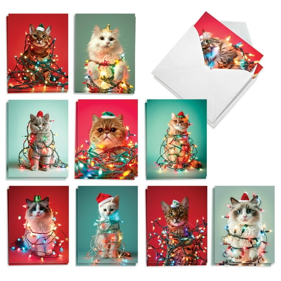 The Best Card Company 20 Assorted Christmas Notecards Box Set 4 x 5.12 Inch with Envelopes (10 Designs, 2 Each) Decorated Cats AM10766XSG-B2x10