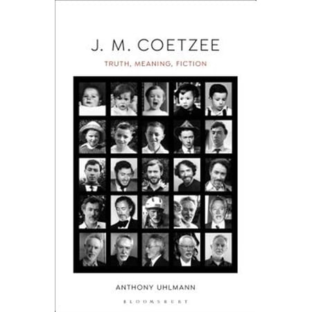 Pre-Owned J. M. Coetzee: Truth  Meaning  Fiction (Paperback)