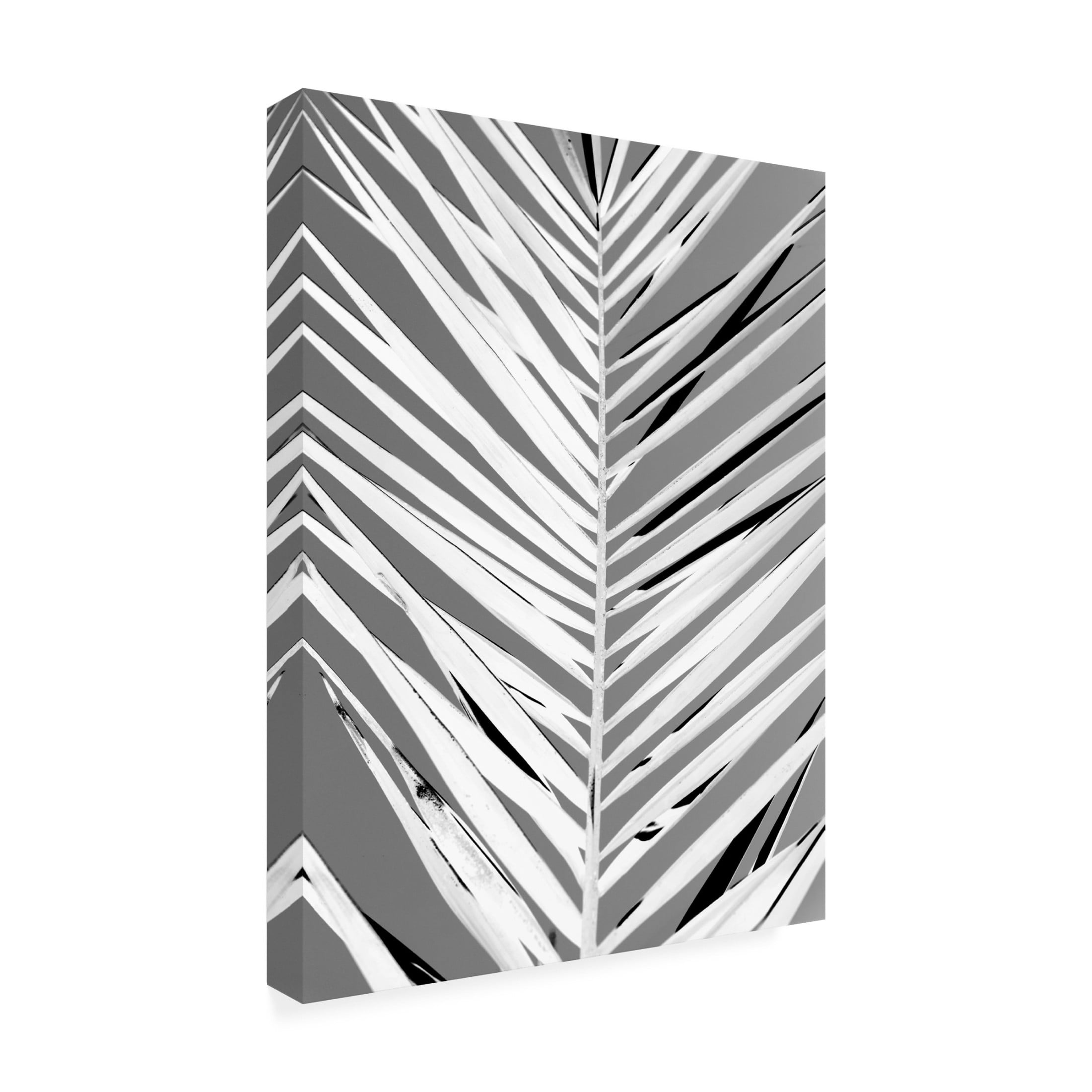 Trademark Fine Art Shot by Clint Patroon Canvas Wall Art