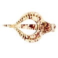 thumbnail image 2 of 3 piezas de gran acrílico pinza para el cabello accesorios de abrazadera de clip de plátano para mujeres, 2 of 9