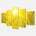 thumbnail image 2 of Yellow Grass Flower at Sunset - Landscape Canvas Art Print, 2 of 3