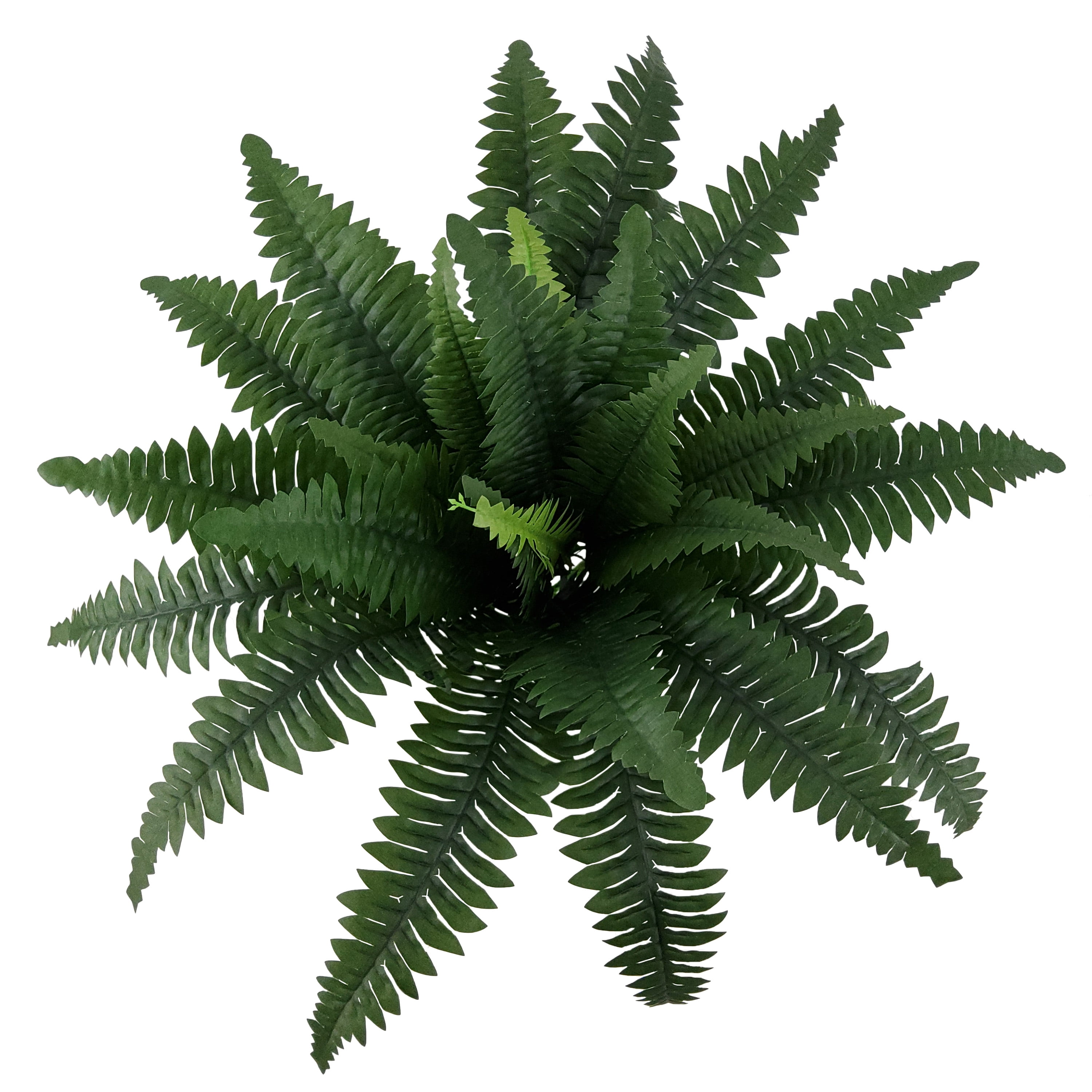Mainstays 21in Indoor Artificial Plant, Fern Bush, Green Color. Indoor Use. Not in Pot.
