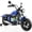 Blue, variant on East doll BMW licensed Electric Motorcycle for Kids, Electric Ride on Toy, 200W Power Motor, Up to 13.05MPH & 12 Miles Long-Range, Twist-Grip Throttle, 3-Speed, Lights & Music, Red