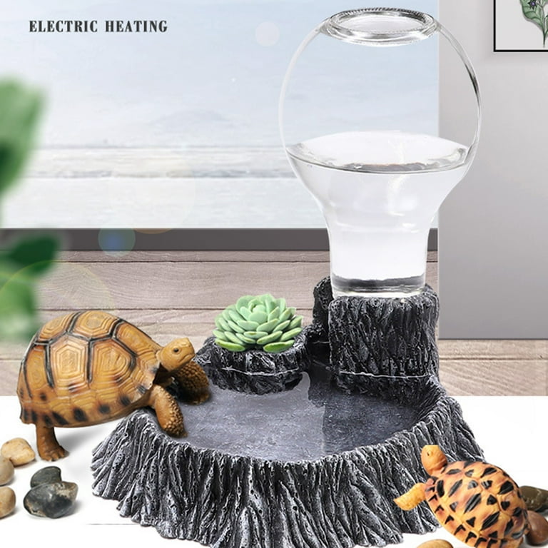Automatic tortoise feeder online