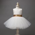 thumbnail image 2 of Robe à Sequins pour Bébé Fille Pricess, Robe de Fête, Costume de Noël, 2 of 5