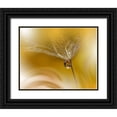 thumbnail image 1 of Nan, Juliana 18x15 Black Ornate Wood Framed with Double Matting Museum Art Print Titled - SunBeam, 1 of 4