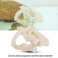 thumbnail image 2 of Small Resin Animal Skull Model Aquarium Fish Tank Ornament Terrarium Decorative Craft, 2 of 10