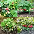 thumbnail image 2 of Deago 10 Pack Strawberry Supports for Garden Strawberry Plant Support Stand Holder Strawberry Growing Racks Frame, 2 of 7