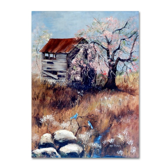 Trademark Fine Art 'The Old Tater House' Canvas Art by Arie Reinhardt Taylor