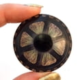 thumbnail image 5 of Iron Gear Nautical Steampunk Glass Eyes, 5 of 7