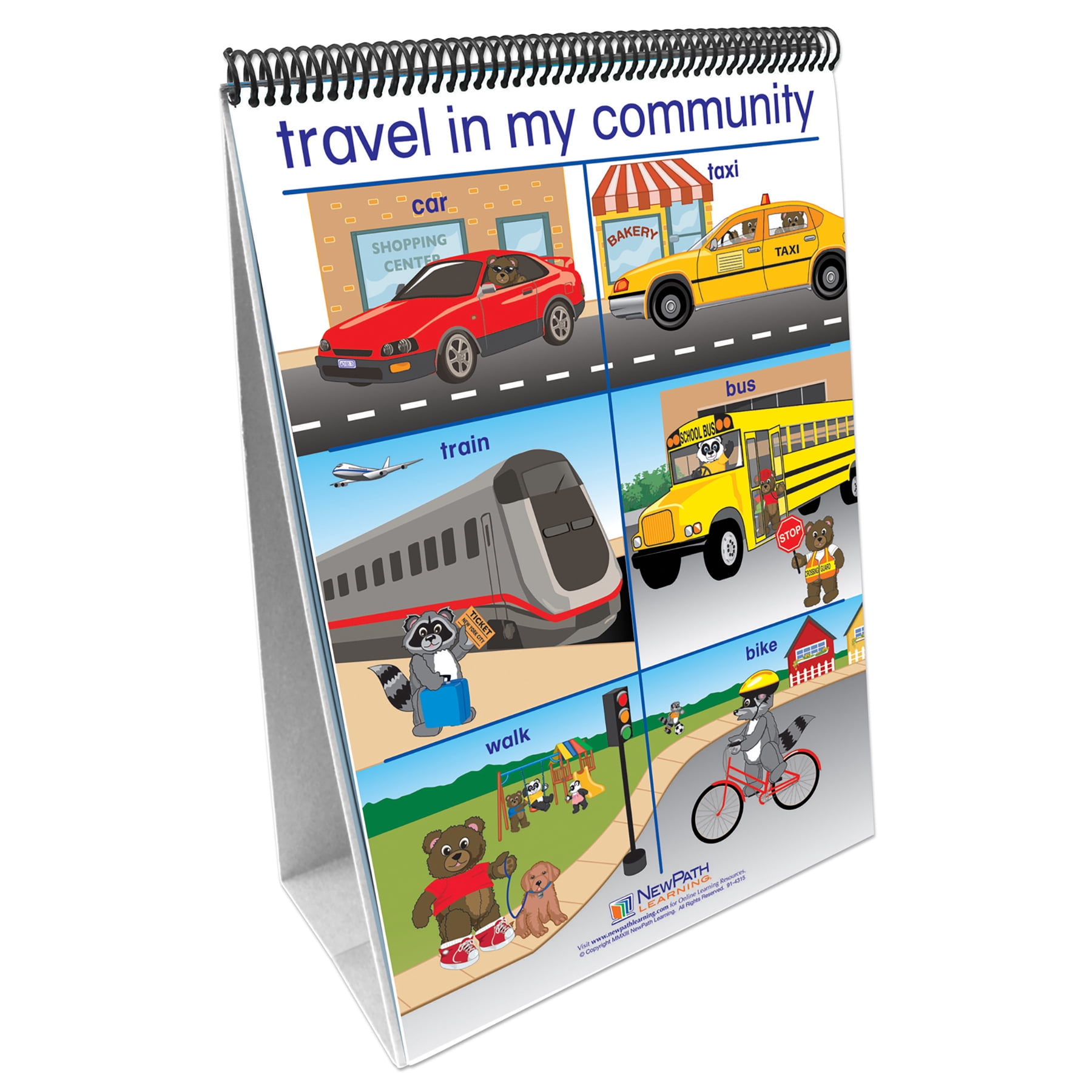 NewPath Learning Social Studies Readiness Flip Chart, Set of All 5