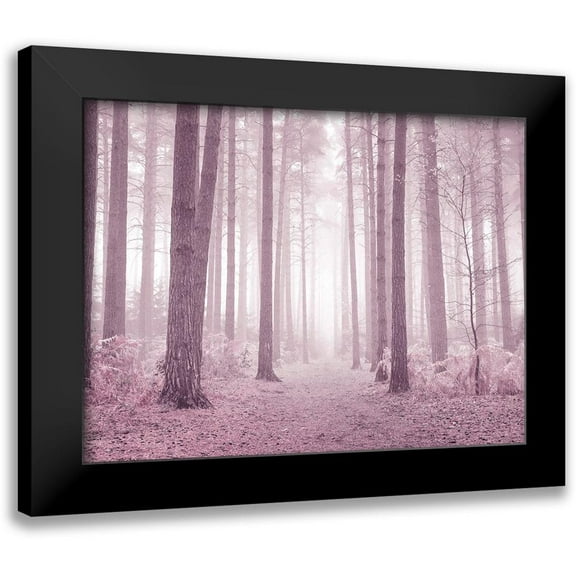 Frank, Assaf 14x12 Black Modern Framed Museum Art Print Titled - Misty trees in pink