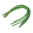 thumbnail image 1 of QualitChoice Lifelike Artificial Plastic Vegetable Decor Set For Photo Props Faux Lettuce Decoration Simulated E, 1 of 6