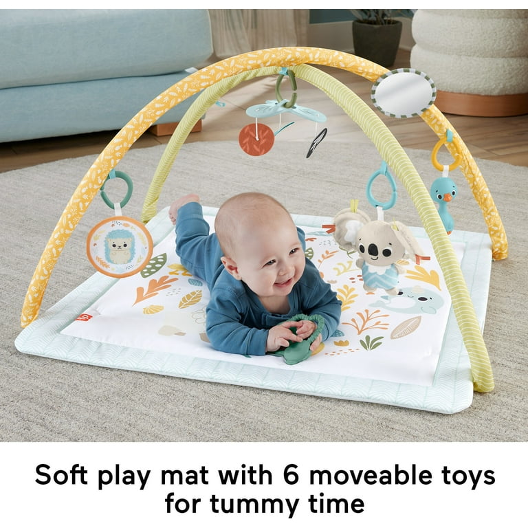 Fisher-Price Simply Senses Newborn Gym Baby Activity Mat with