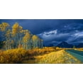 thumbnail image 2 of Yu, Bing 32x19 White Modern Wood Framed Museum Art Print Titled - Fall Colors Before A Storm, 2 of 4